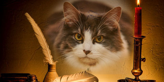 EBU HÜREYRE: YALANCI HADİS RİVAYETÇİSİ 