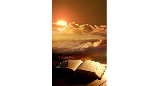 YAŞAR NURİ ÖZTÜRK KUR'AN'I KERİM MEALİ PDF